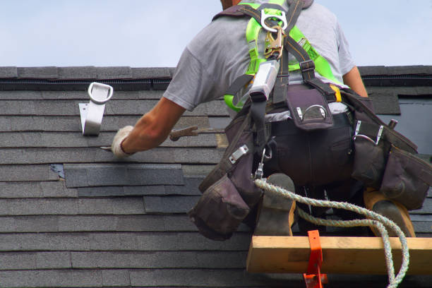 Roof Gutter Cleaning in West Newton, PA